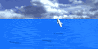 dolphin_jmp_sky