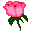 flower16