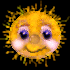 suns